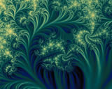 Cauliflower Meteor Shower II