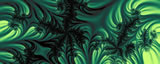 Coral Conspiracy