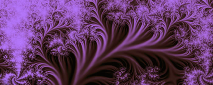 Purple Complex