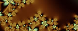 The Constellation Flores