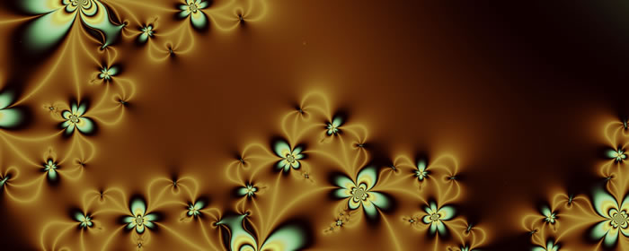 The Constellation Flores