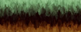 Torrent