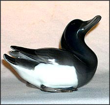 Tufted Duck, Sitting    #1855