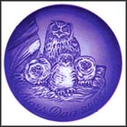 Owl With Young