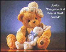 Junior - Everyone Is A Bear's Best Friend  #476641