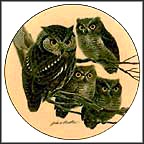 Screech Owls