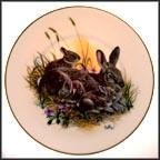 Cottontails
