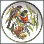 Collared Trogon