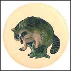 Raccoons