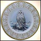 Snowy Owl