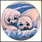 Canadian Harp Seals