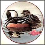 Hooded Mergansers