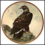 Golden Eagle