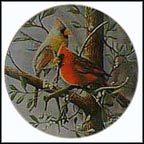 The Cardinal