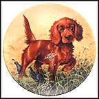 Missing The Point - The Irish Setter