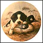 Dog Tired - The Springer Spaniel