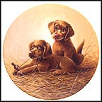 Chesapeake Bay Retrievers