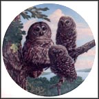 Perfect Perch: Barred Owls