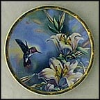 Ruby Throated Hummingbird With Lilies