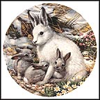 Arctic Hare Family