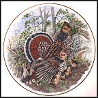 Ruffed Grouse