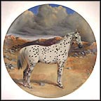 The Appaloosa