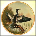 The Anhinga