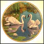 The Swan