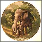 The Asian Elephant