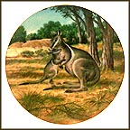 The Bridled Wallaby