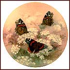 Red Admirals