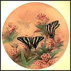 Zebra Swallowtails