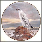 The Gyrfalcon