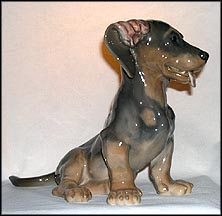 Dachshund    #856