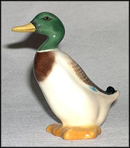 Duck Standing  #2591
