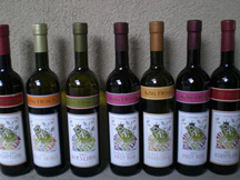 6 Bottles Dry White Wine Sequence Six Pack