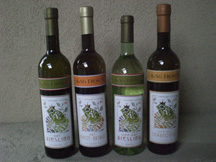 4 Bottles Dry White German Wine Sequence Tasting Kit