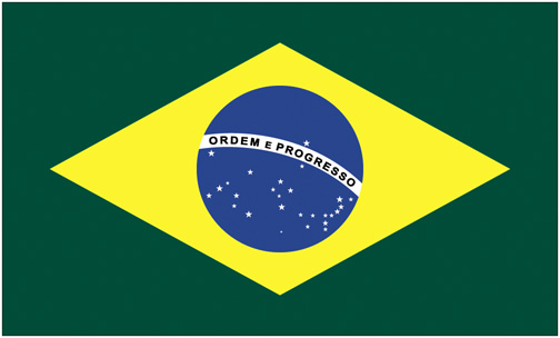 <big>Brazil Flag</font></big>