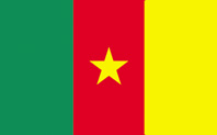 <big>Cameroon Flag</font></big>