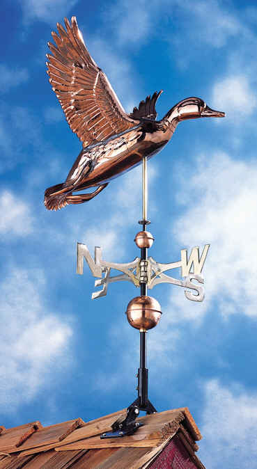 <big>Classic Copper Duck</font></big>