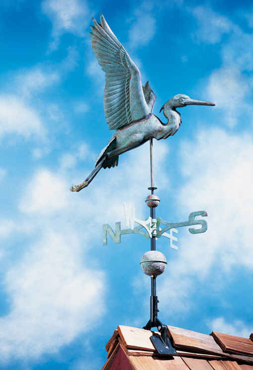 <big>Classic Copper Heron</font></big>
