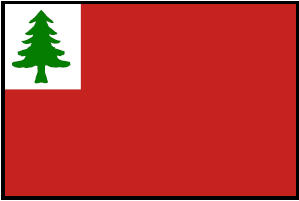 <big>Continental Flag</font></big>