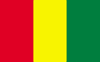 Guinea Flag