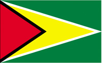 Guyana Flag