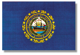 <big>New Hampshire State Flag</font></big>