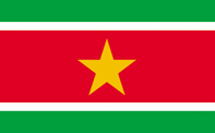 <big>Suriname Flag</font></big>