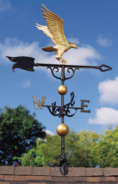 <big>Traditional Eagle</font></big>