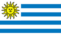 <big>Uruguay Flag</font></big>