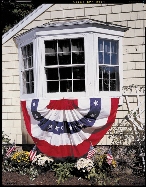 Patriotic Pleated Fans