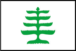 <big>Pine Tree  Flag</font></big>